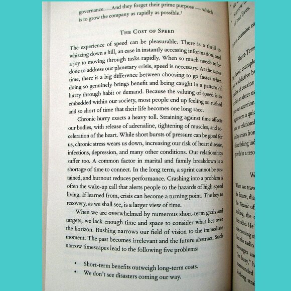 Book - Active Hope: How to Face the Mess We're in Without Going Crazy - Picture 10 of 16